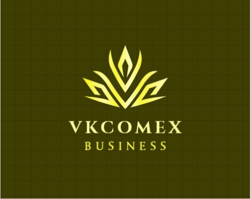 Logo VKComex Business